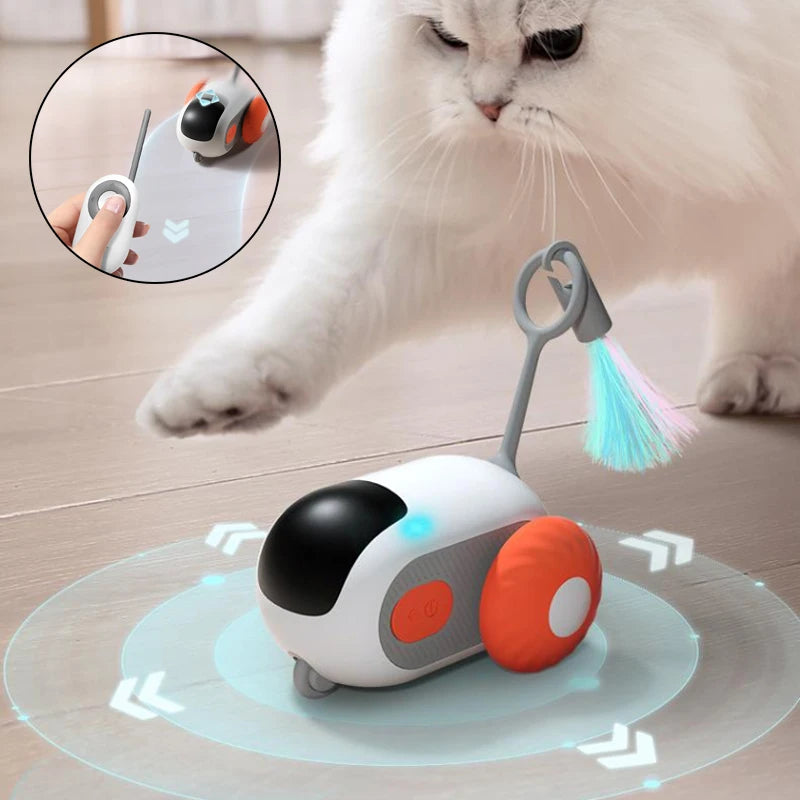 Pet  Interactive Cat Toy