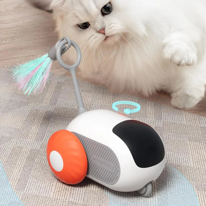 Pet  Interactive Cat Toy